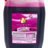 Sirop Fructe de Padure Slushy / Granita 5L