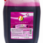 Sirop Fructe de Padure Slushy / Granita 5L