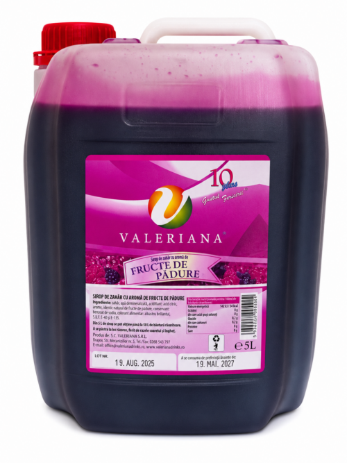 Sirop Fructe de Padure Slushy / Granita 5L